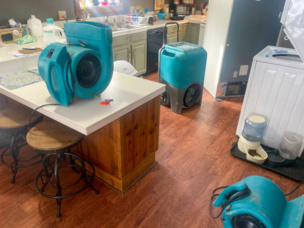 Best Professional water damage repair  in King City, OR