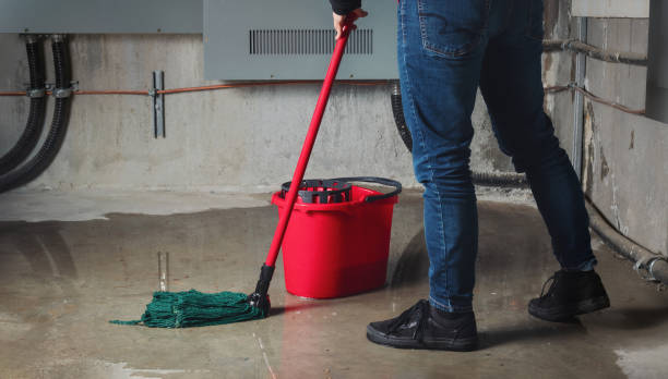 Best Ceiling water damage repair  in King City, OR