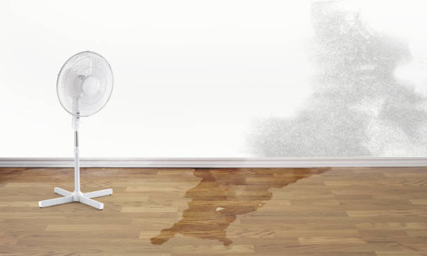Best Fire Damage Restoration  in King City, OR