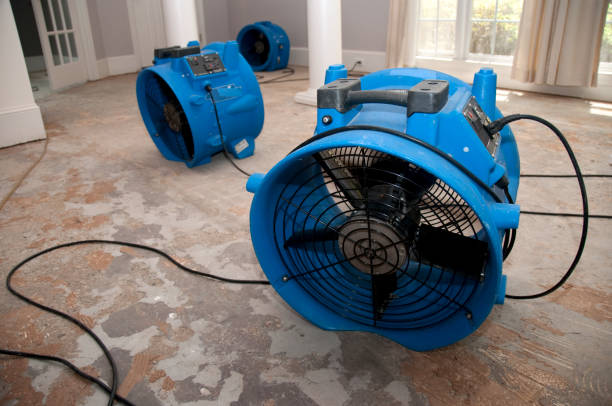 Best Emergency water damage restoration  in King City, OR
