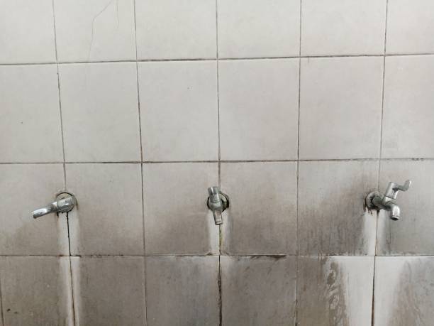 Best Fire Damage Restoration  in King City, OR