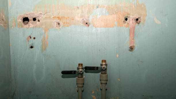 Best Professional water damage repair  in King City, OR